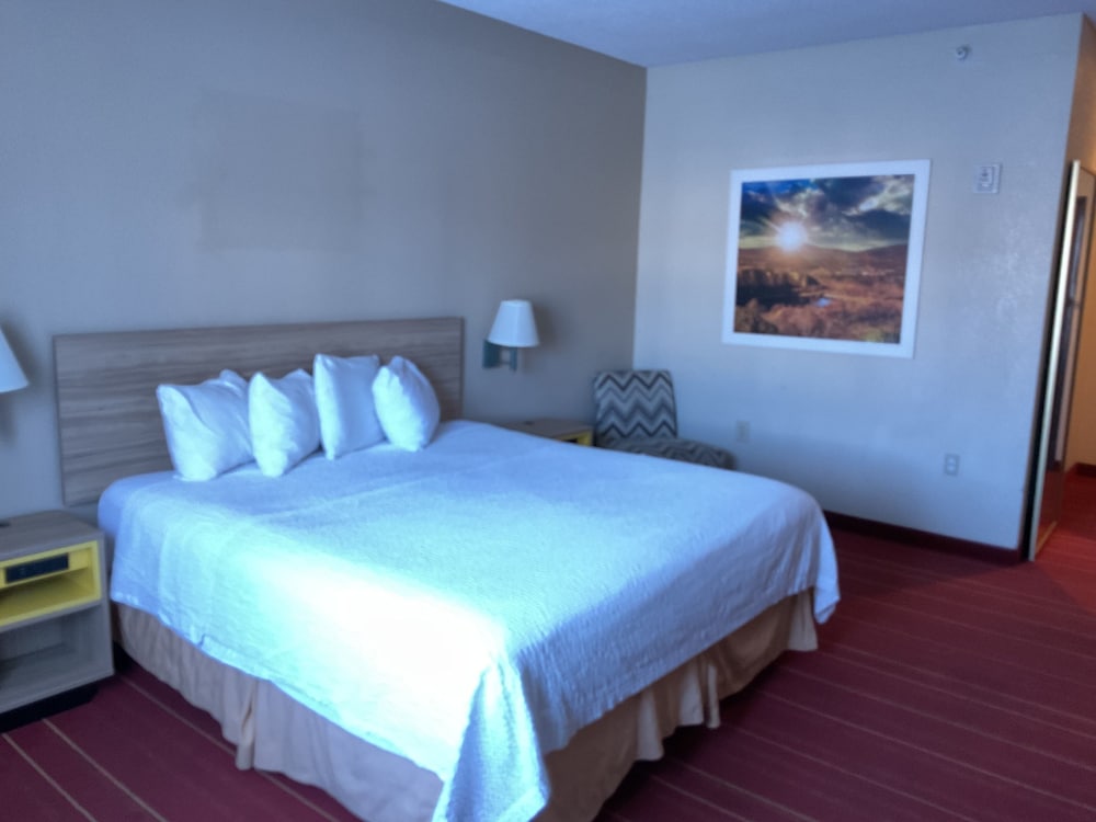 Standard Room, 1 King Bed, Accessible - Photo 2