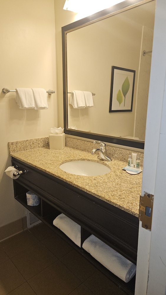 Standard Room, 1 King Bed, Accessible - Photo 2
