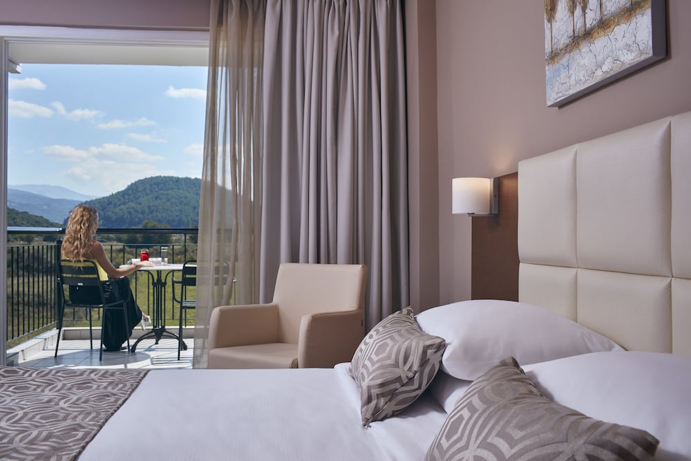 Deluxe Double Room photo 3