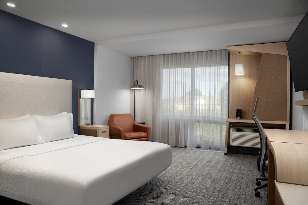 Room, 1 King Bed with Sofa bed