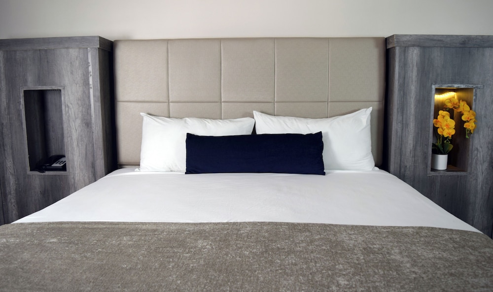 Premier Single Room photo 3