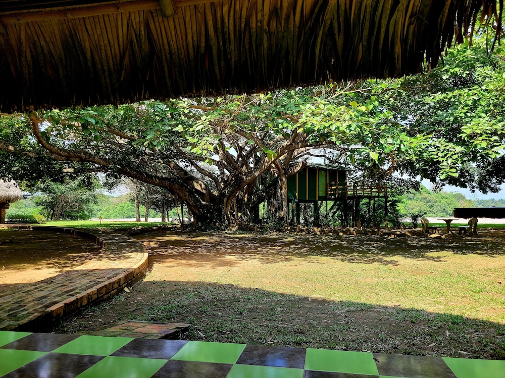 Quadruple Room, Garden View photo 3