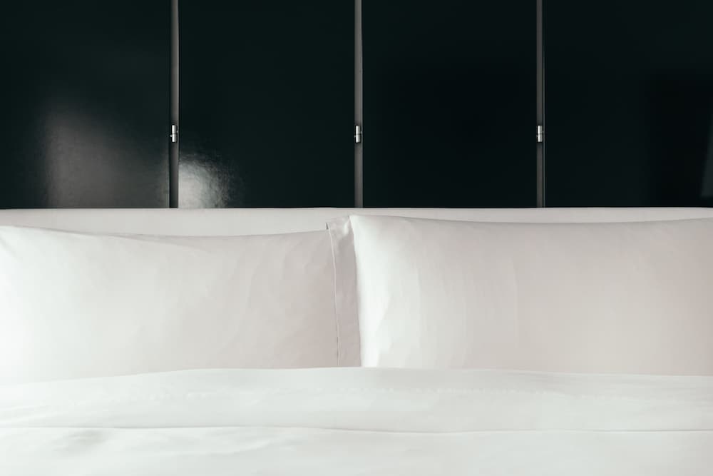 Suite, 1 King Bed photo 2