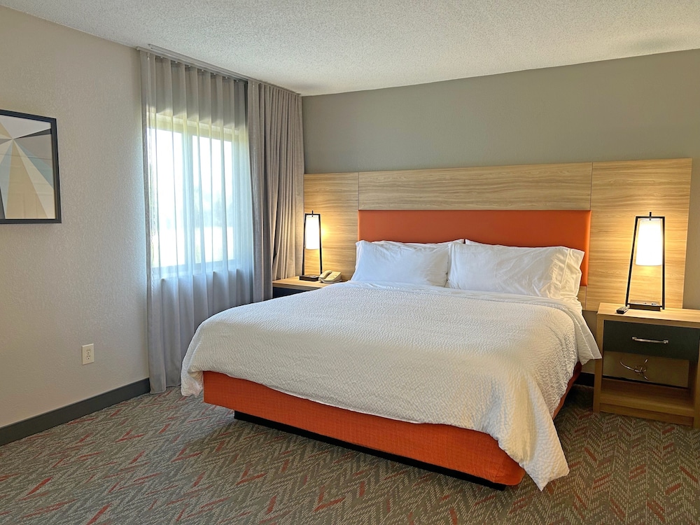 Suite, 1 Bedroom - Photo 5