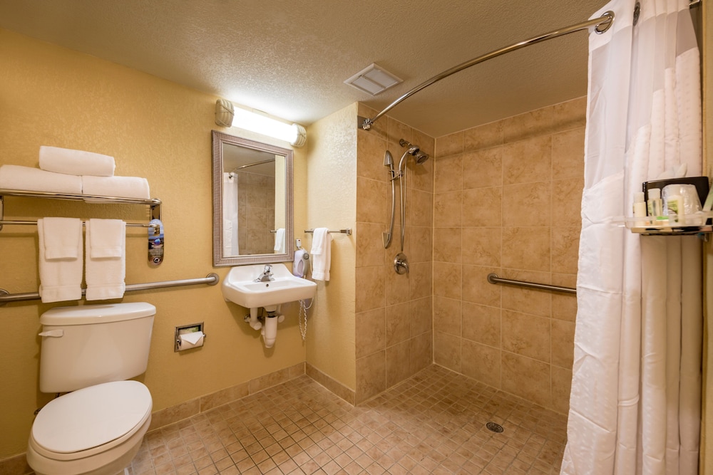 Standard Room, 1 King Bed, Roll-in Shower (Communications Accessible)