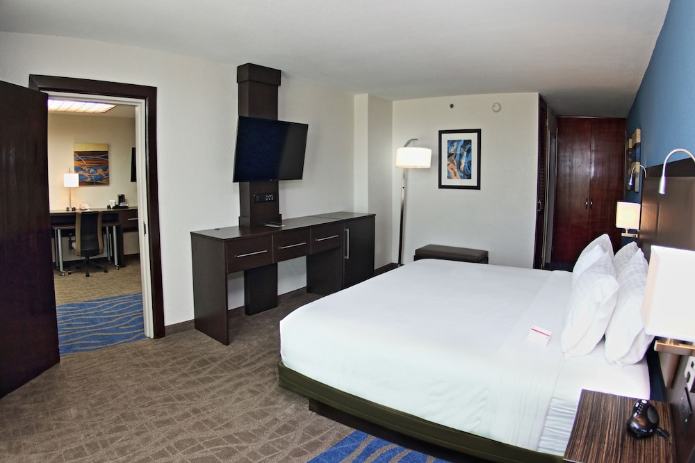 Suite, 1 King Bed - Photo 2