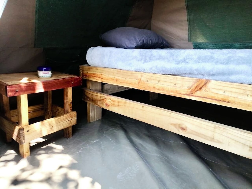 Basic Tent, Patio photo 1