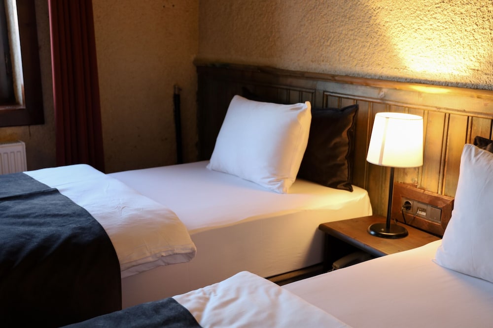 Deluxe Double Or Twin Room photo 1