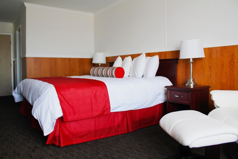 Business Room, 1 King Bed photo 2