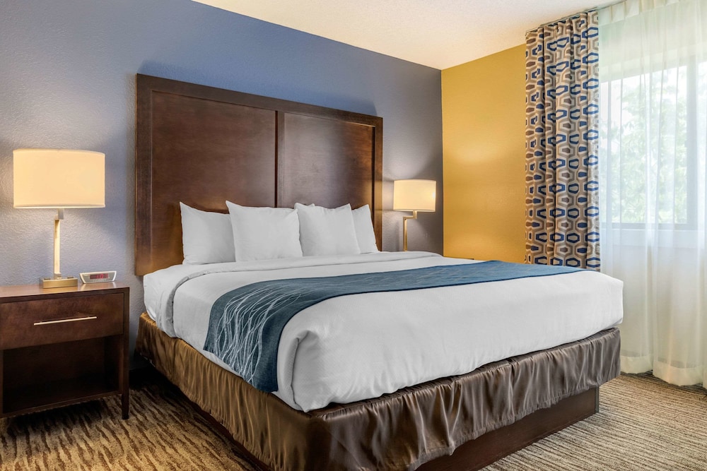 Suite, 1 King Bed with Sofa bed (Wet Bar, Living Room) photo 1