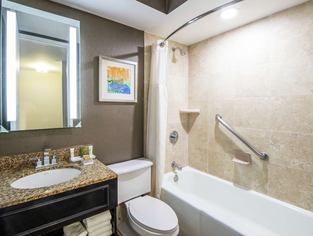 Suite, 1 Bedroom - Photo 9