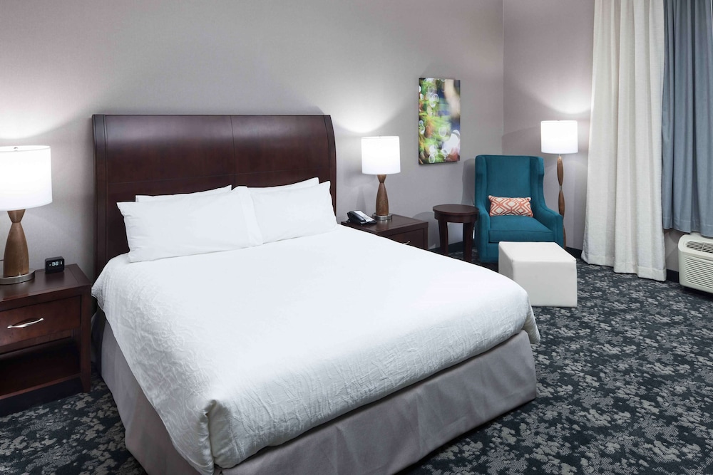 Hilton Garden Inn Detroit/Novi, Photo 4