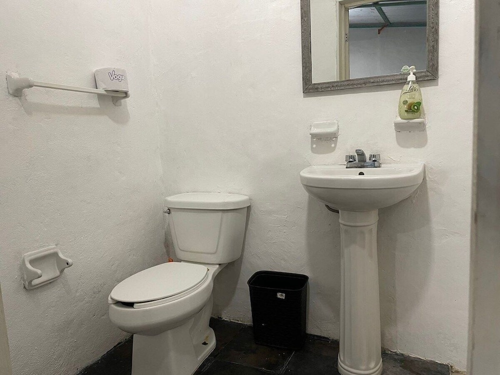 Basic Suite photo 2