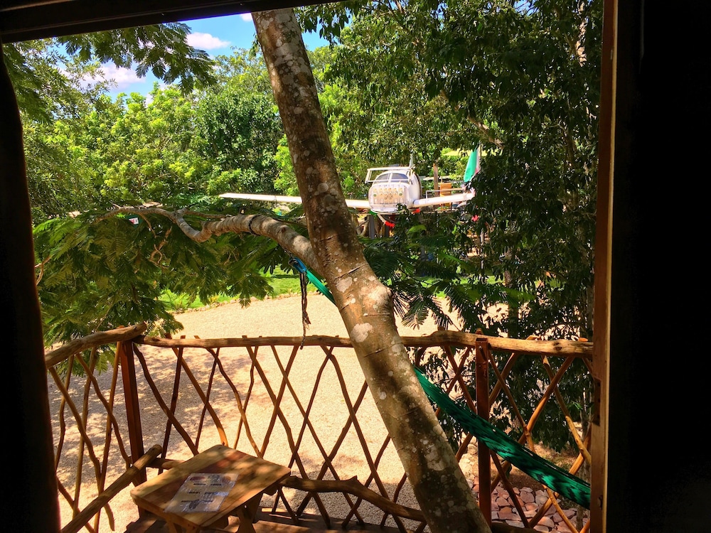 Tree House photo 2