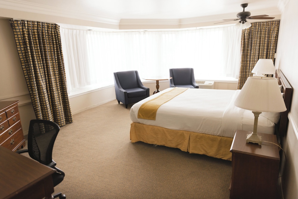Executive Room, 1 King Bed, Tower - Photo 1