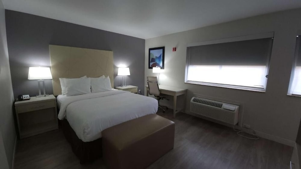Standard Studio, 1 Queen Bed - Photo 4