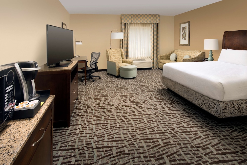 Room, 1 King Bed, Accessible - Photo 4