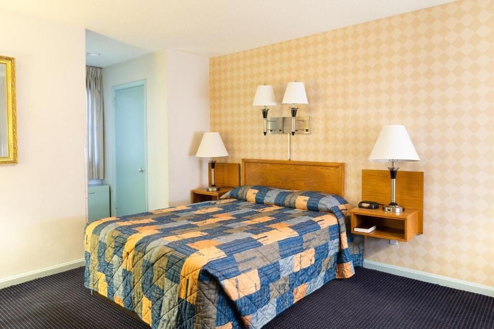 Basic Single Room, 1 Queen Bed photo 1