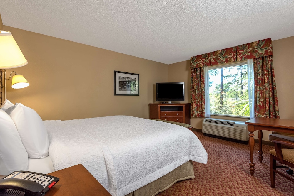 Suite, 1 King Bed, Accessible, Bathtub (Mobility & Hearing) - Photo 3