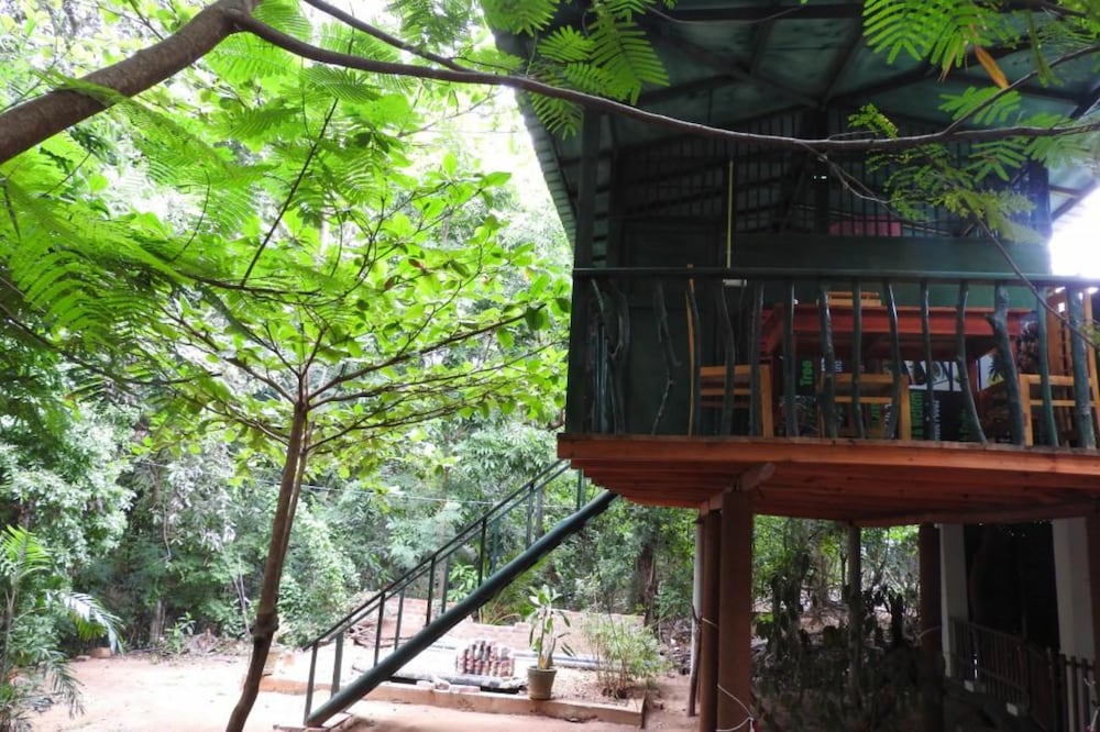Triple Room, Garden View photo 2