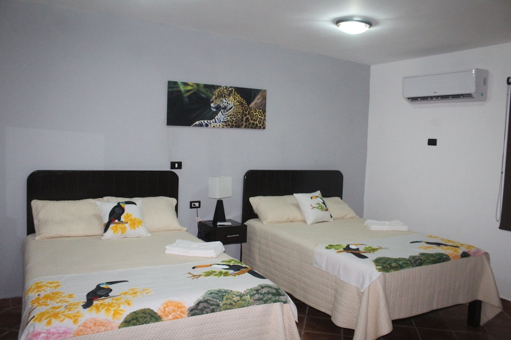 Junior Suite, 2 Queen Beds, Courtyard View photo 1