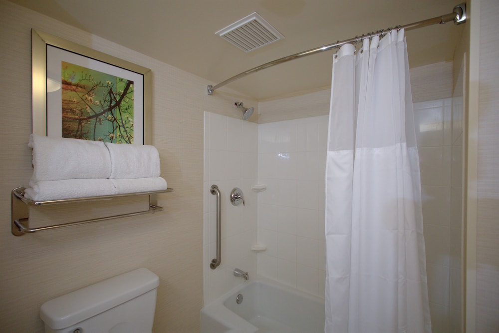 Room, 1 King Bed (Mobility/Hearing Accessible, Tub)