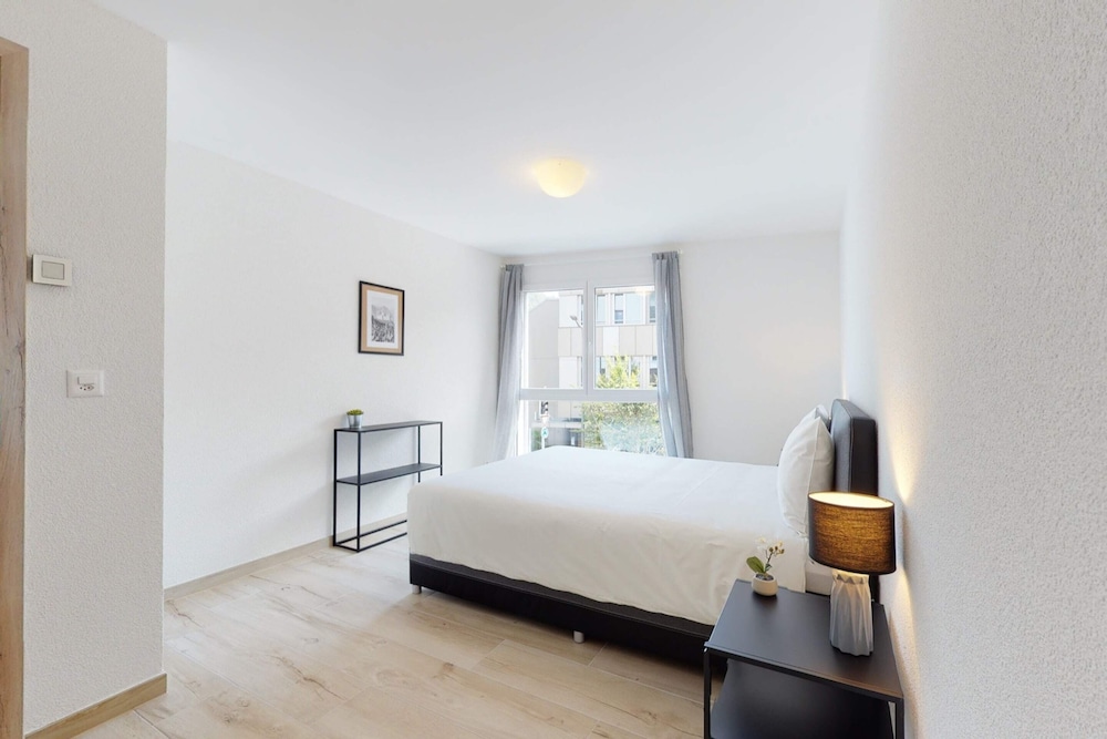 Basic Apartment, 1 Queen Bed