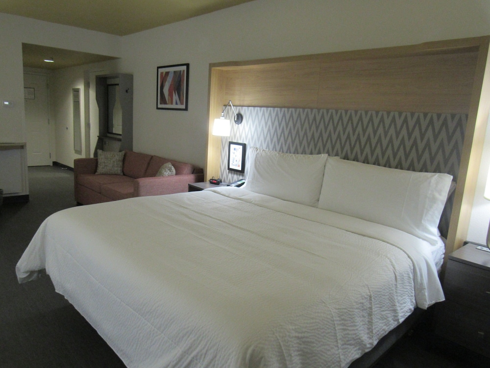 Premium Room, 1 King Bed with Sofa bed