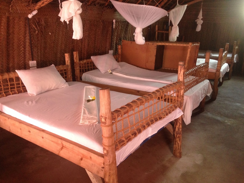 Basic Shared Dormitory