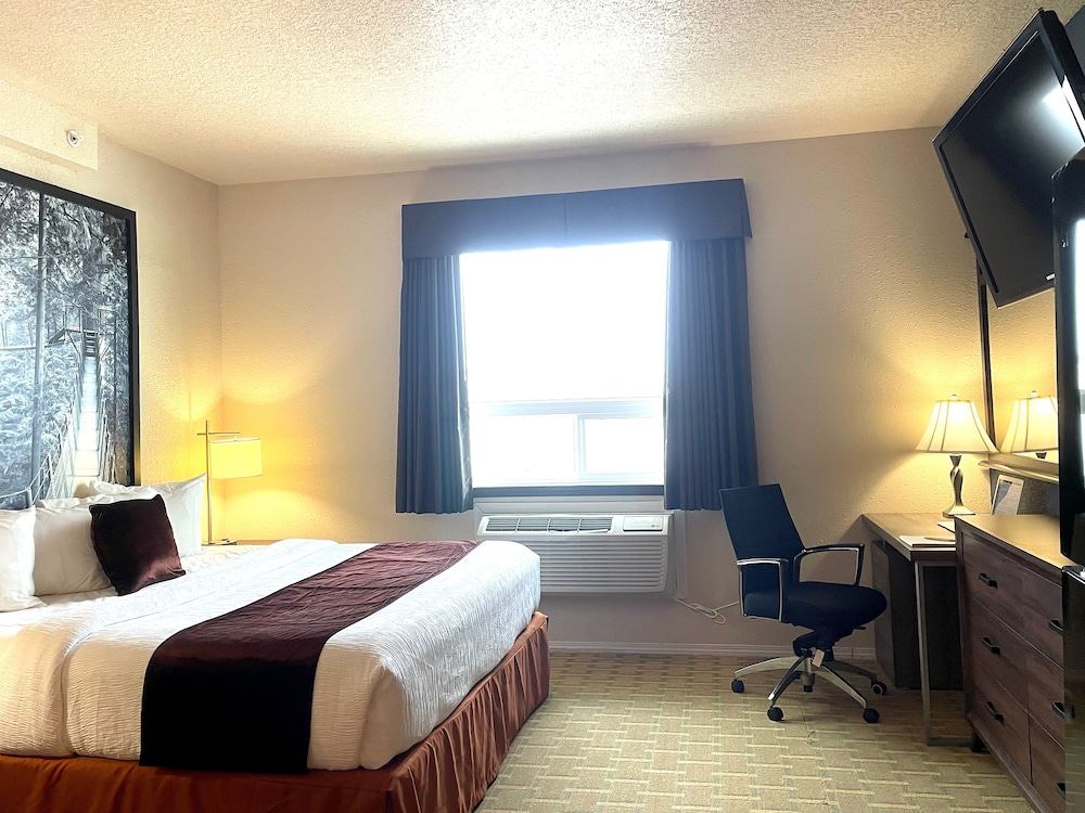 Standard Room, 1 King Bed photo 1