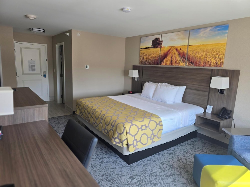 Standard Room, 1 King Bed, Non Smoking - Photo 4