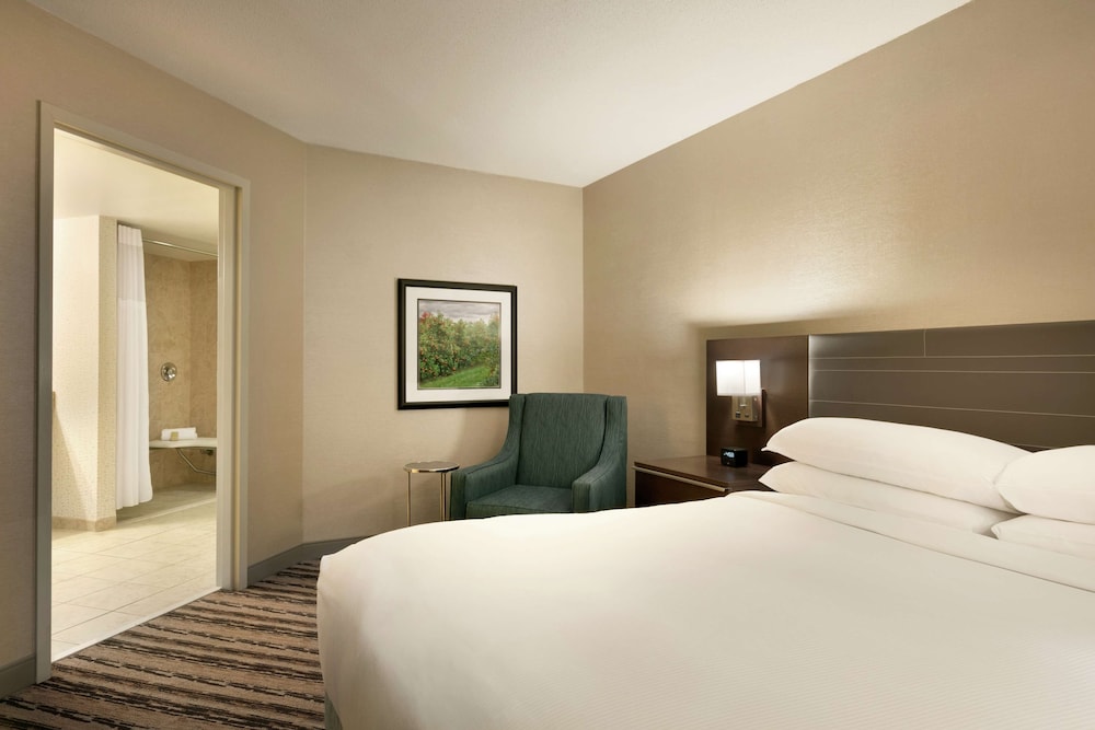 Room, 1 King Bed, Accessible, Non Smoking - Photo 3