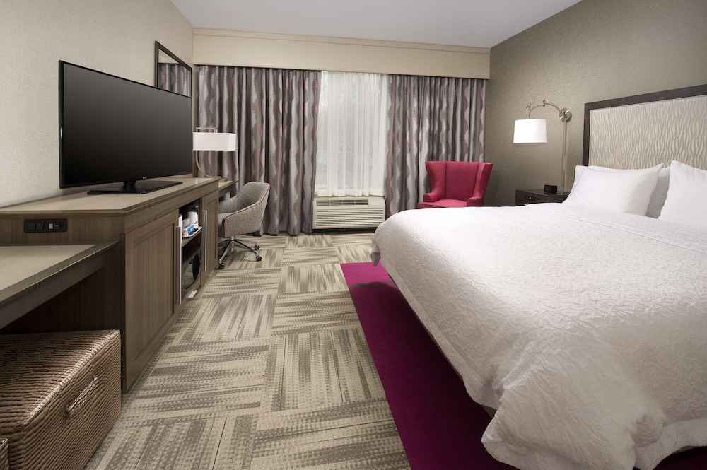 Room, 1 King Bed, Accessible, Non Smoking (Roll-in Shower) photo 3