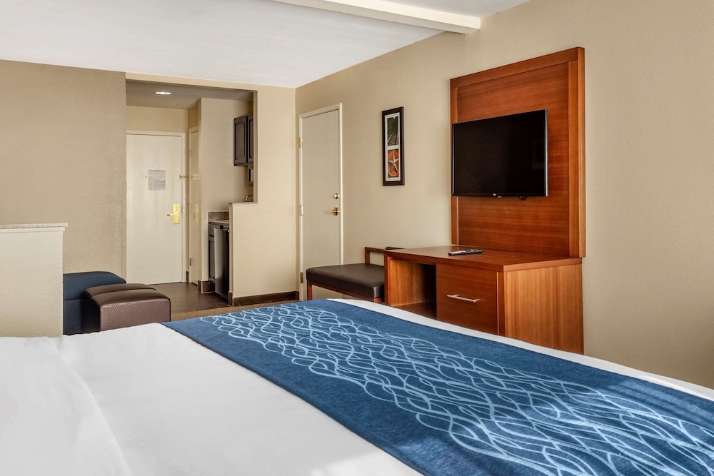 Suite, 1 King Bed, Non Smoking - Photo 3