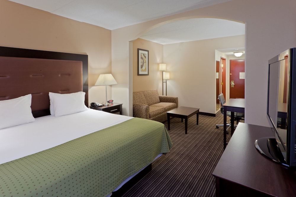 Suite, 1 King Bed - Photo 4