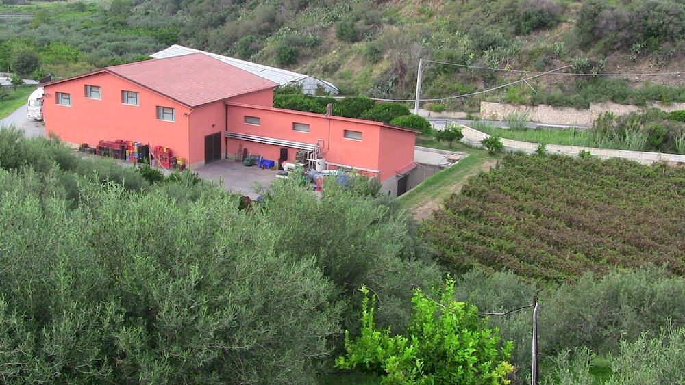 Apartment, Garden View