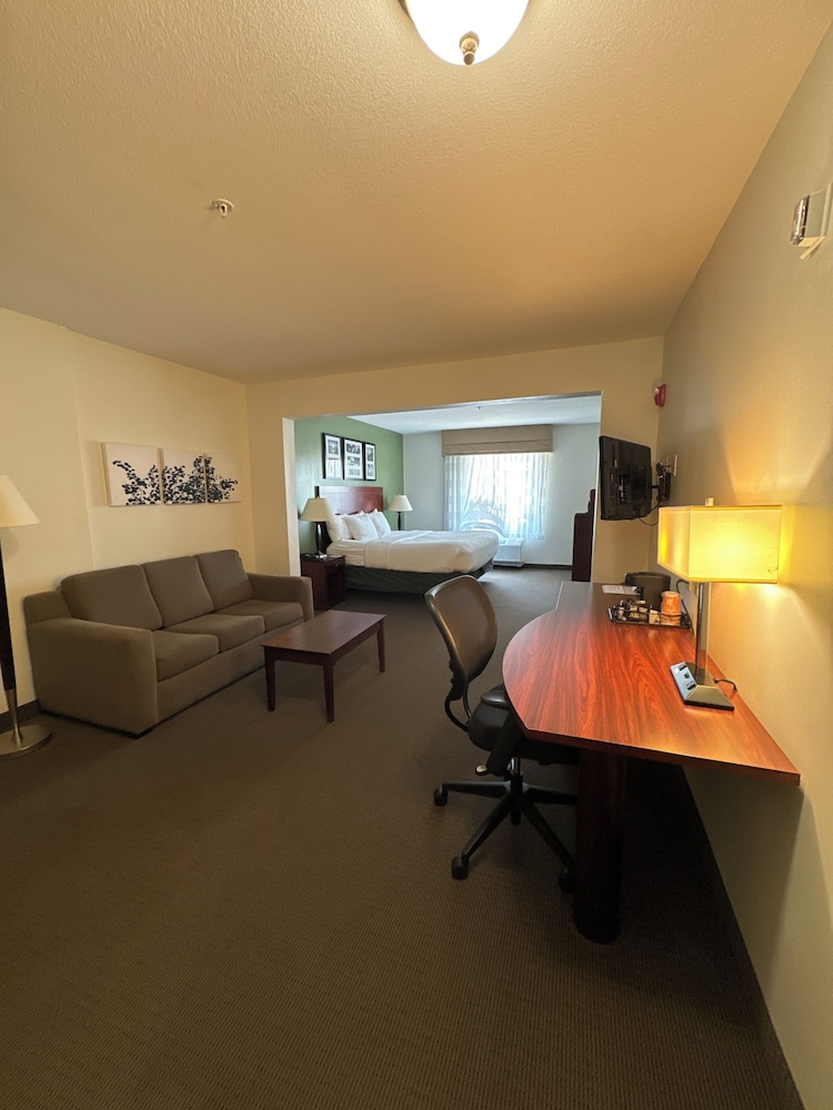 Suite, 1 King Bed with Sofa bed, Non Smoking photo 1