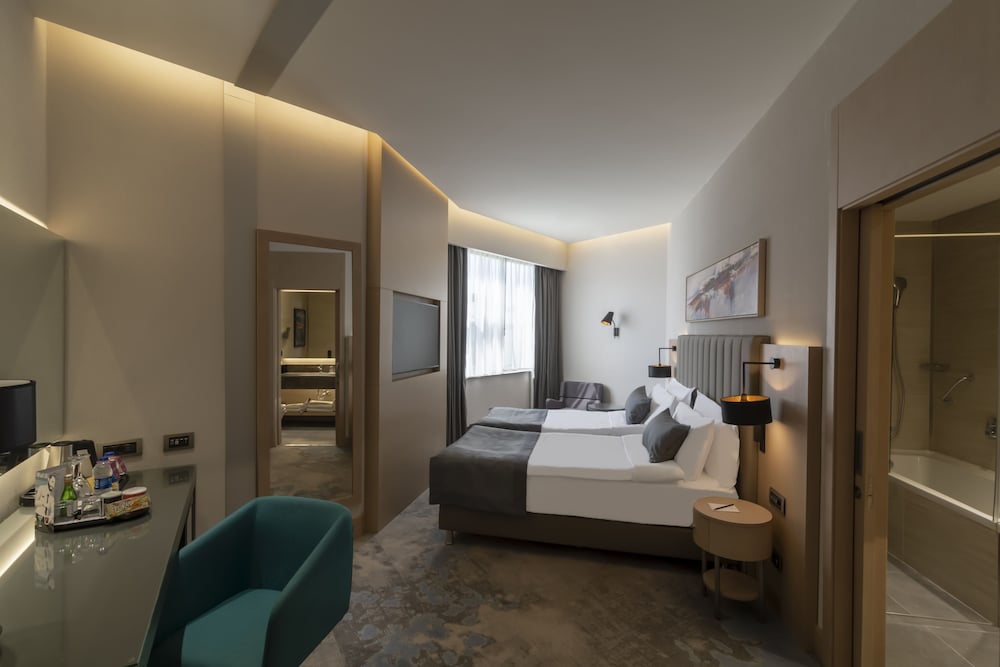 Standard Room, 1 King Bed, Accessible, Non Smoking photo 3