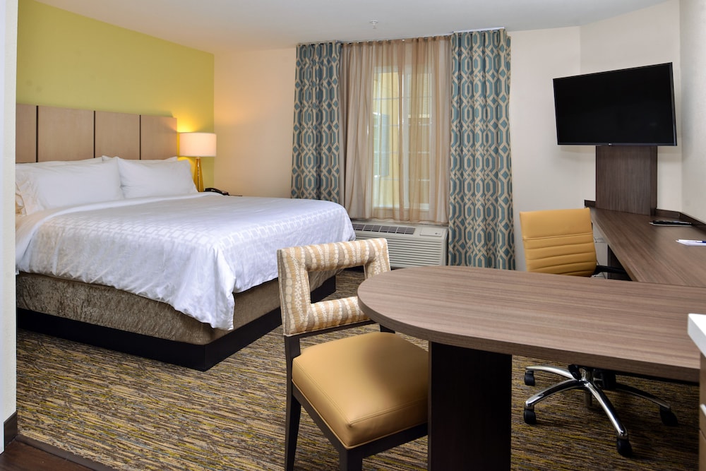 Studio Suite, 1 King Bed, Accessible (Mobility, Roll-In Shower) photo 3
