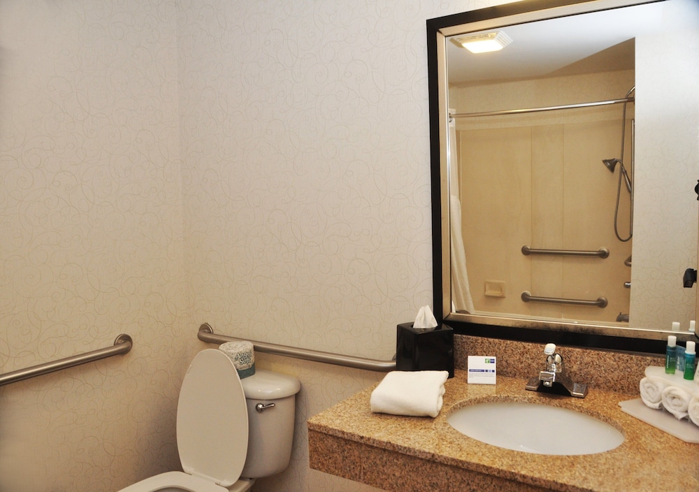 Standard Room, 1 King Bed, Accessible (Mobility) - Photo 3