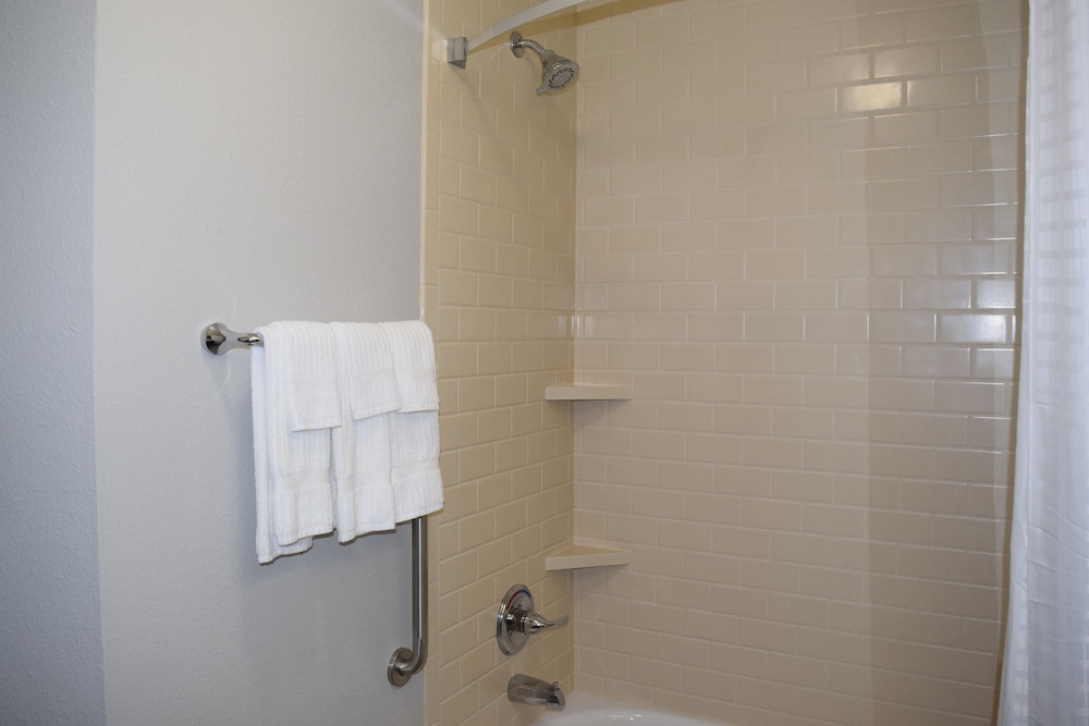 Basic Suite, 1 Bedroom
