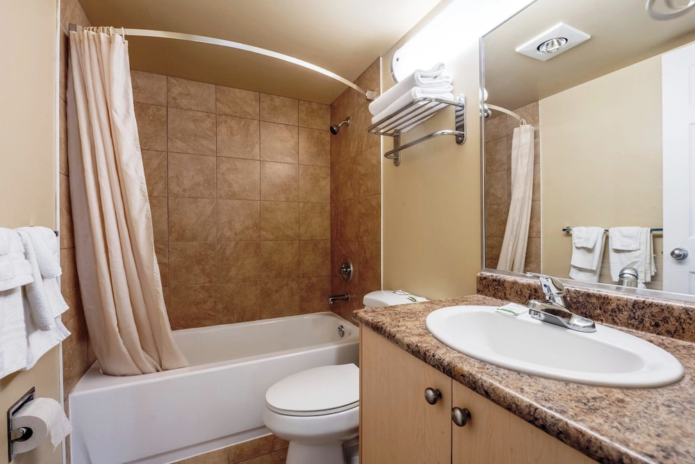 Hot Tub Suite, 1 King Bed, Refrigerator & Microwave photo 3