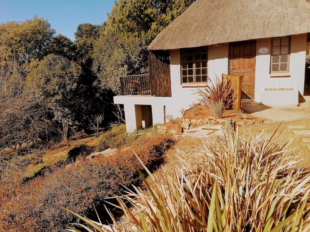 Standard Cabin, 1 King Bed, Balcony, River View (Guinea Fowl ) photo 1
