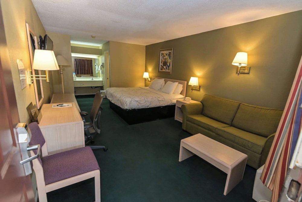 Room, 1 King Bed, Smoking (Deluxe) - Photo 5