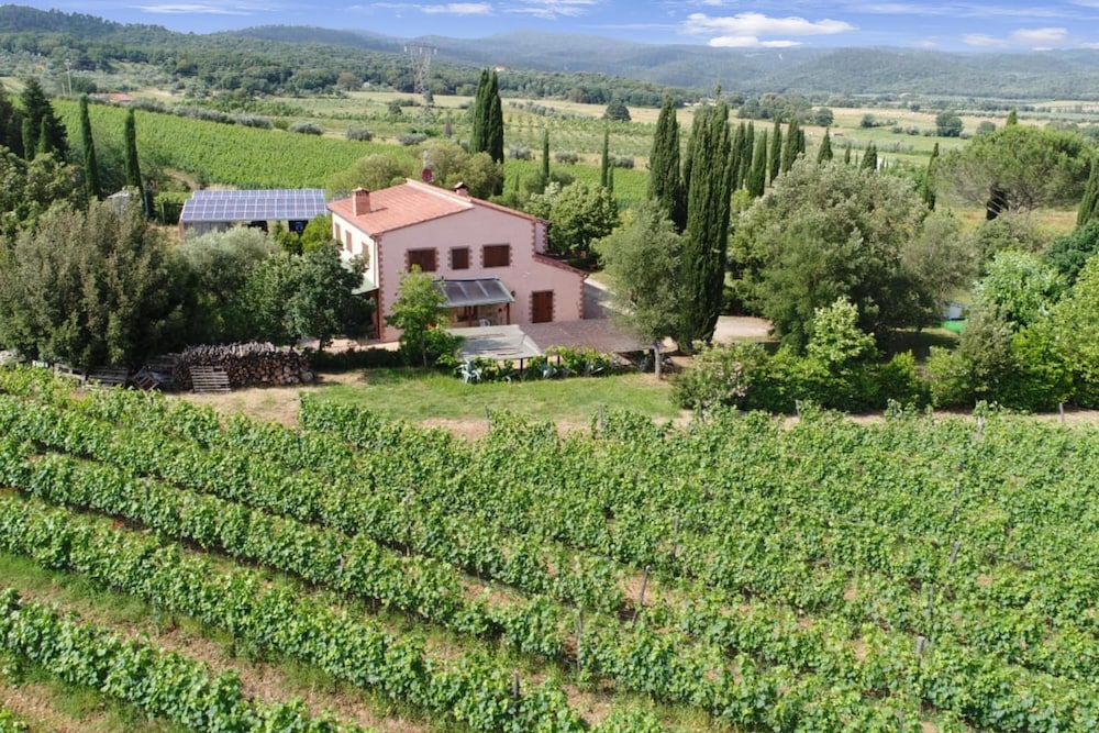 Tenuta Di Litiano Med Pool, Billede 24