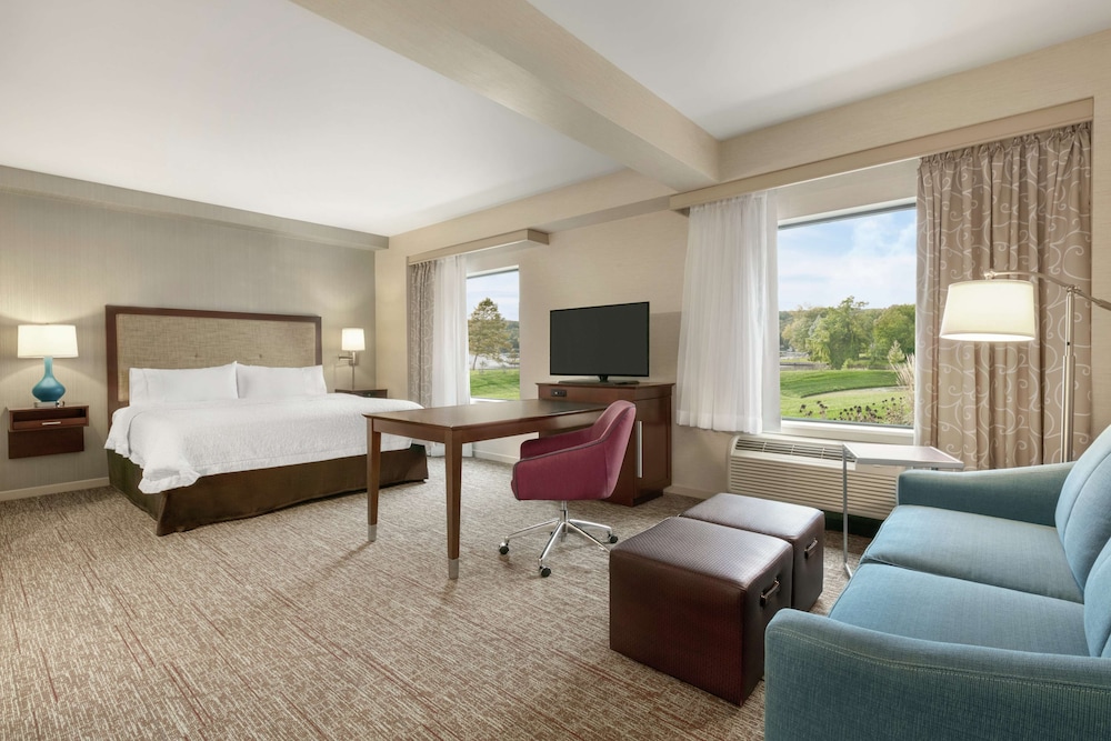 Studio, 1 King Bed, Patio, Lake View