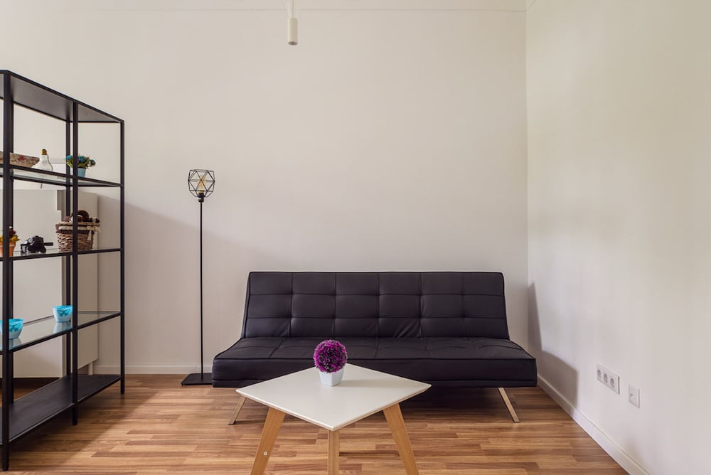 Basic Apartment photo 3