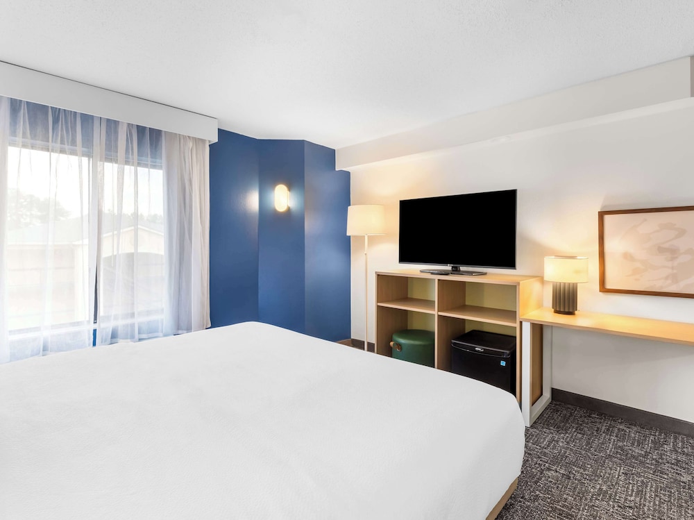 Room, 1 King Bed, Accessible (Mobility & Hearing, Roll-in Shower) - Photo 2