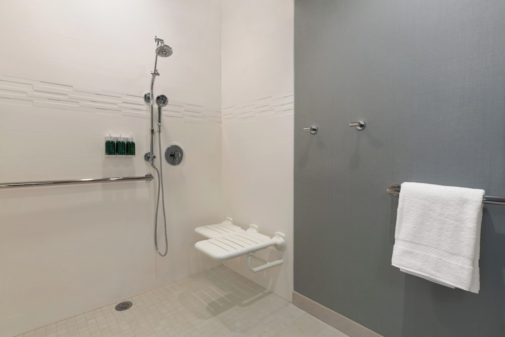 Studio, 1 King Bed (Mobility/Hearing Access, Roll-in Shwr) - Photo 5