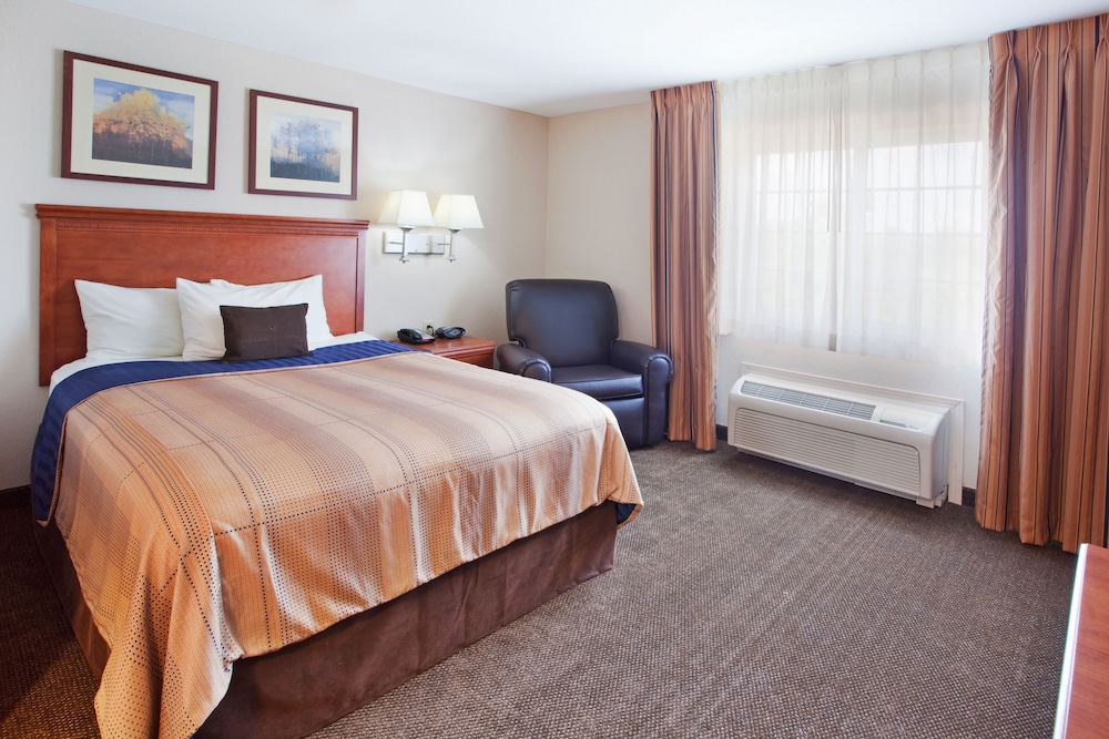Studio Suite, 1 Queen Bed - Photo 3